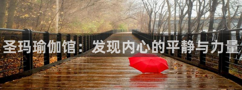 欧洲杯买注在哪买
