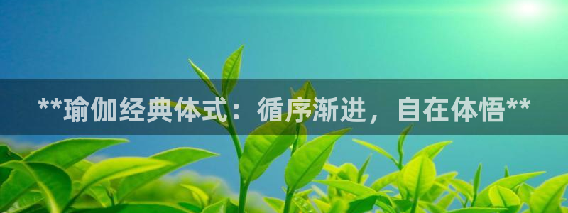 welcome欧洲杯官网