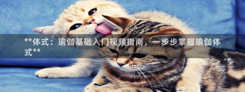 欧洲杯投注官方网站入口