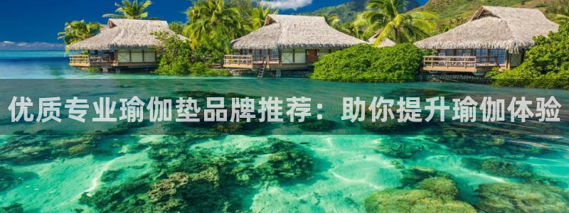欧洲杯在哪个网站购买