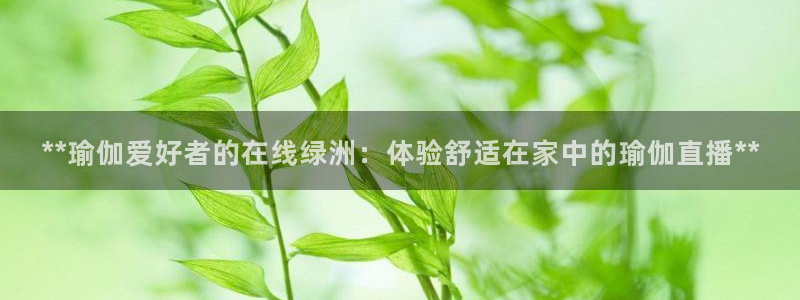 欧洲杯靠谱买球平台