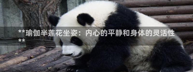 欧洲杯押注怎么买