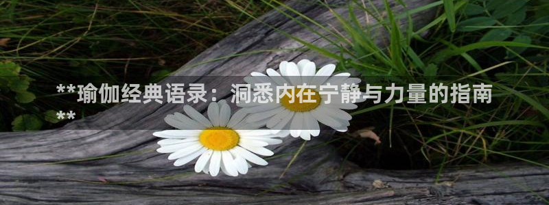 欧洲杯kaiyun