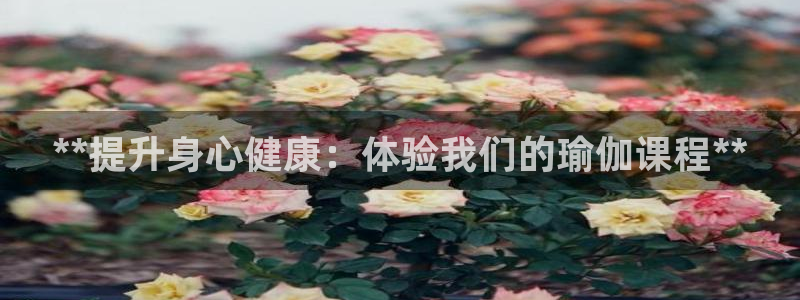 2024欧洲杯官方网站首页