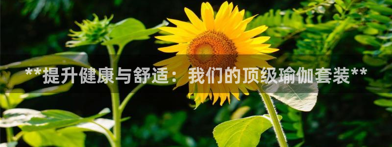 欧洲杯kaiyun
