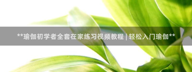 欧洲杯哪里买球靠谱