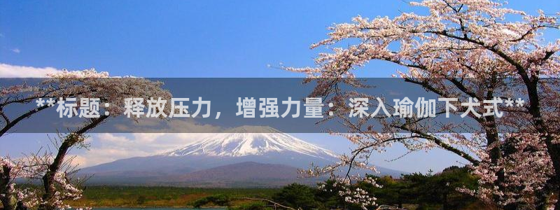 怎么买欧洲杯