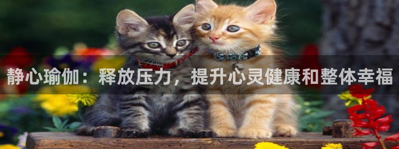 欧洲杯可以买冠亚军吗