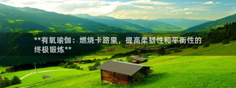 欧洲杯指定投注网站