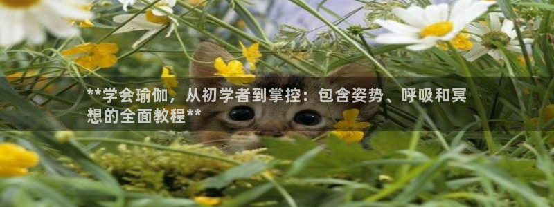 欧洲杯靠谱买球平台