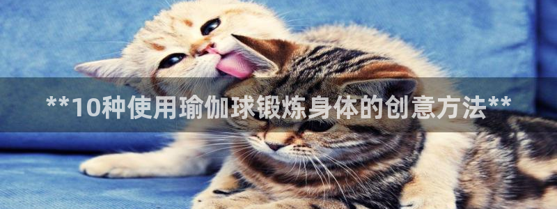 欧洲杯押注