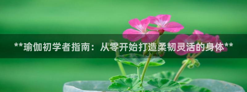 欧洲杯投注入口官网