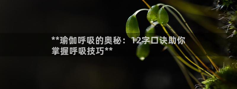 十大靠谱外围买球网站