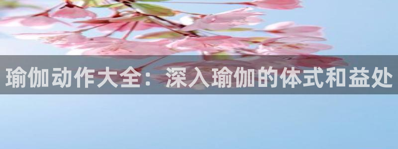 2024欧洲杯全部赛程