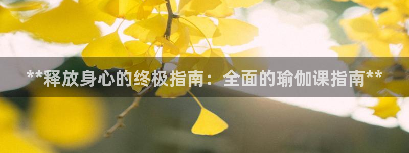 怎么买欧洲杯