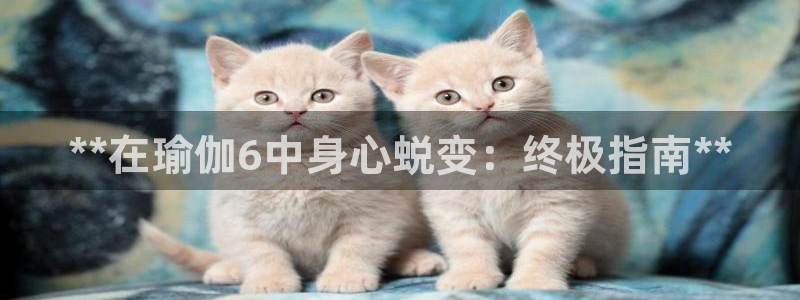 欧洲杯下单平台