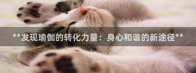 2024欧洲杯买球手机版