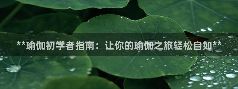 欧洲杯kaiyun
