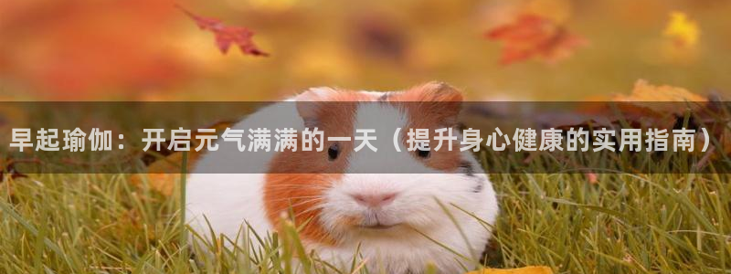 欧洲杯哪里买球靠谱