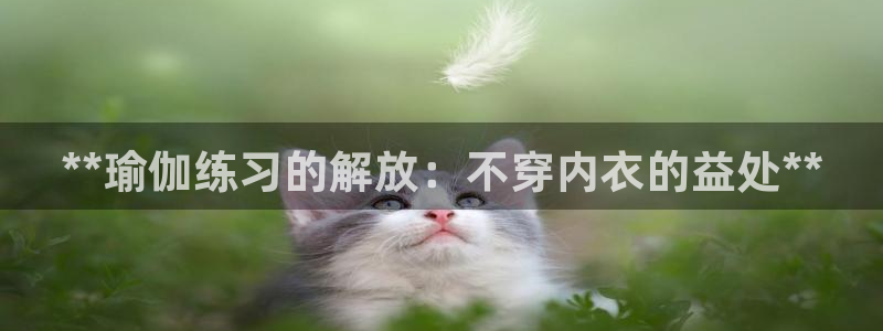 欧洲杯哪里买球靠谱