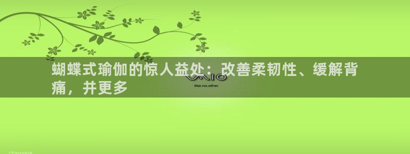 2024正规欧洲杯平台