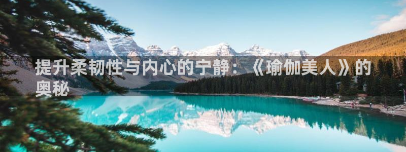 欧洲杯下赌注平台