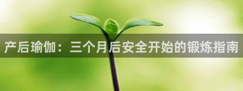 网上哪个平台可以买足球