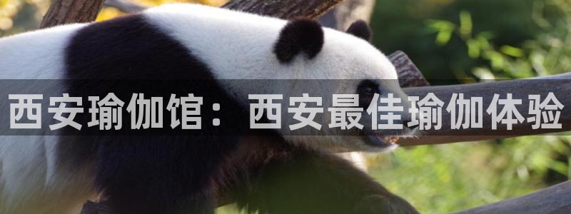 2024欧洲杯竞猜网址