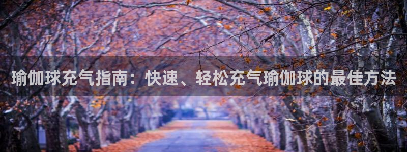 十大靠谱外围买球网站
