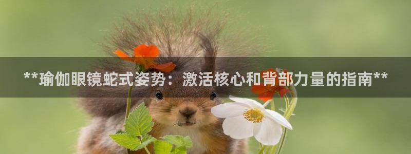 欧洲杯买注在哪买