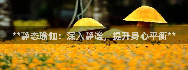 2024欧洲杯买球推荐