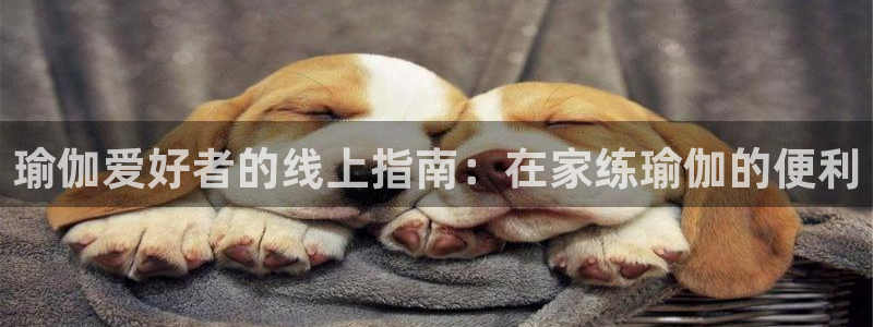 欧洲杯押注