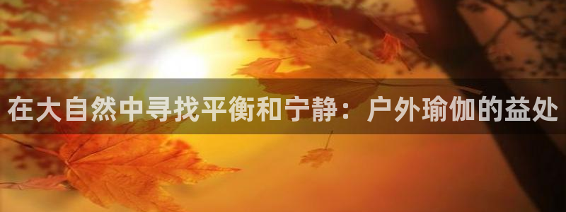 欧洲杯下单平台官方网站