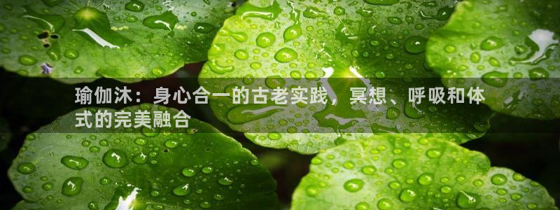 2024欧洲杯买竞猜