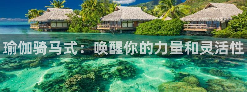 欧洲杯可以买冠亚军吗