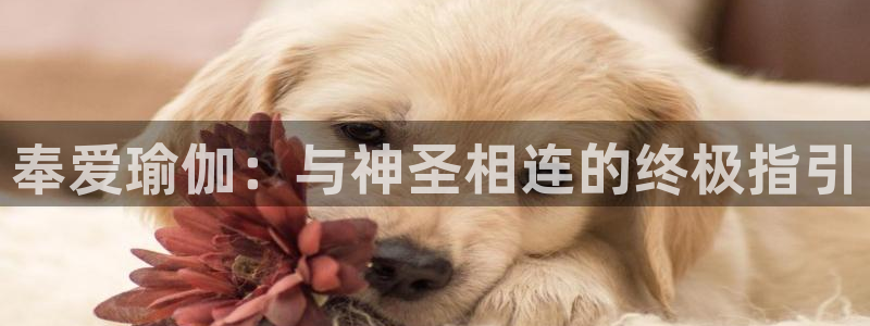 2024欧洲杯全部赛程