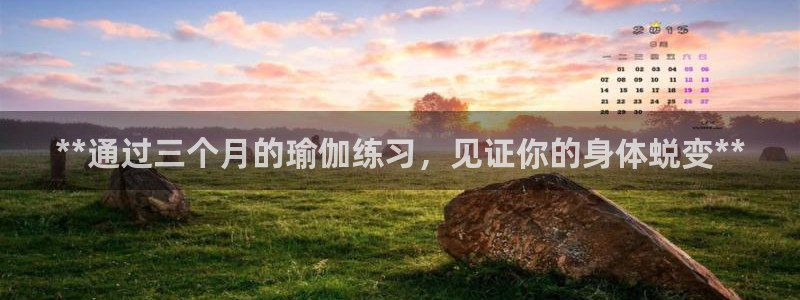 欧洲杯哪里买球靠谱