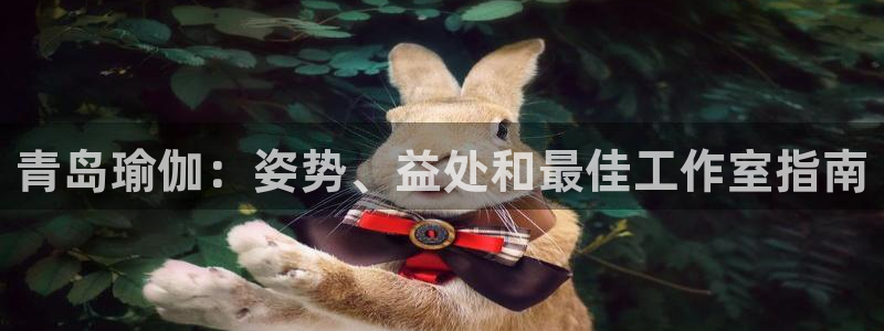 欧洲杯竞猜网站