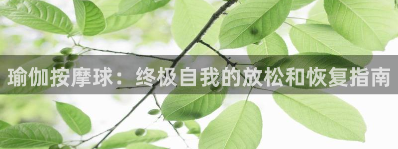 2024欧洲杯买竞猜