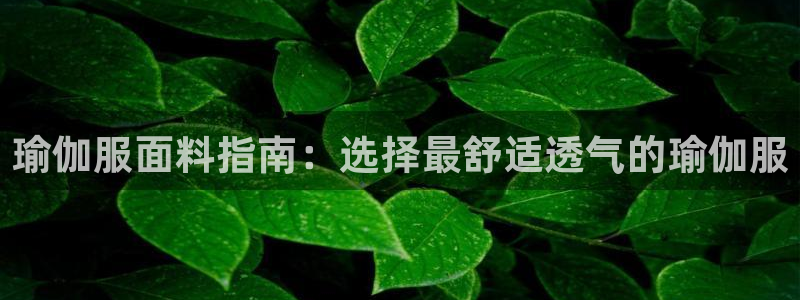 欧洲杯竞猜软件