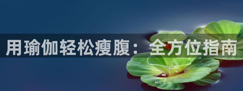 2024正规欧洲杯平台