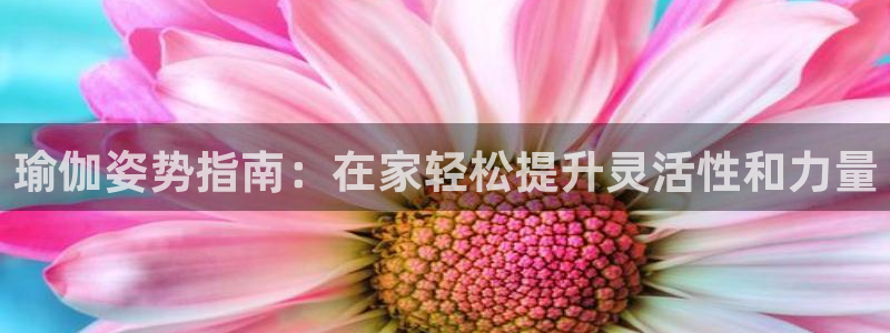 欧洲杯下单平台官网