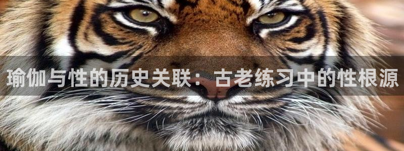 欧洲杯买足球软件有哪些