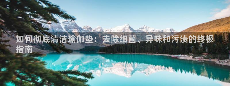 2024欧洲杯买球推荐