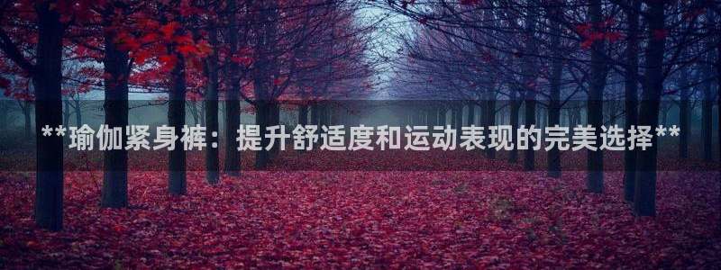 欧洲杯投注推荐网站