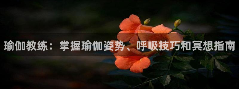 欧洲杯靠谱买球平台