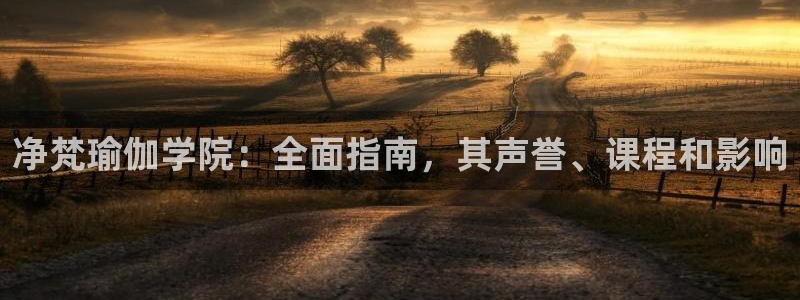 2024欧洲杯买竞猜