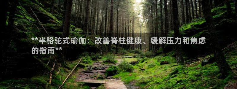 足球赌注平台app