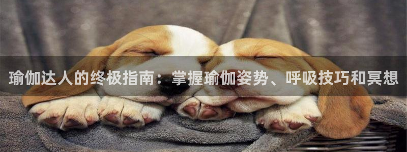 欧洲杯买球网