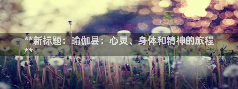 欧洲杯下单平台官网